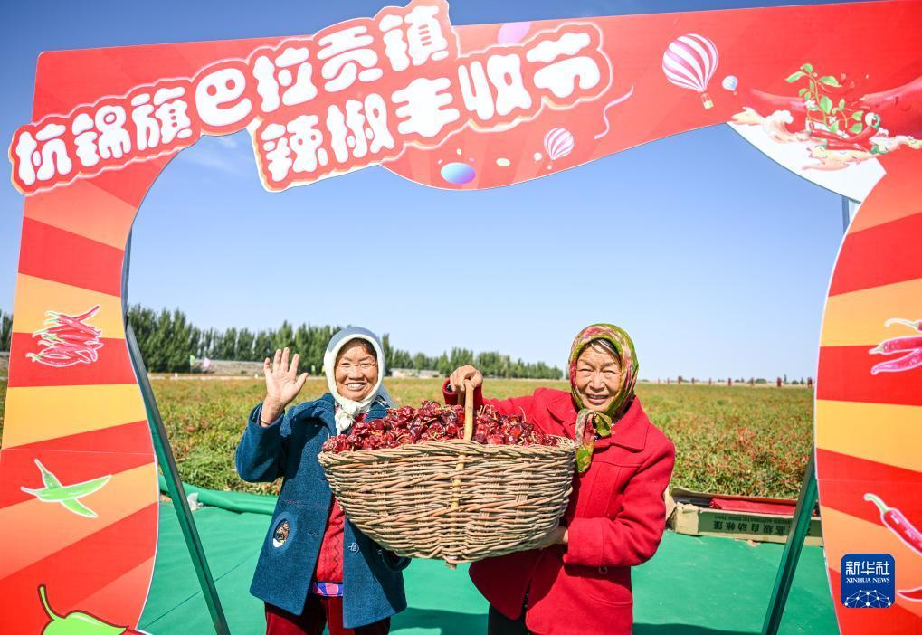 mg游戏中心